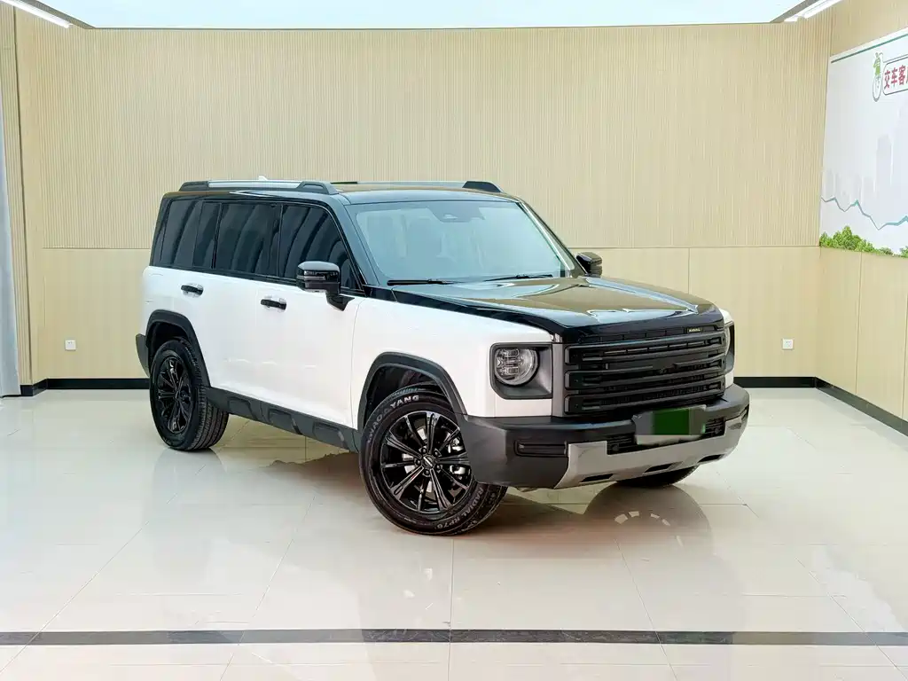Haval Menglong New Energy — миниатюра 2