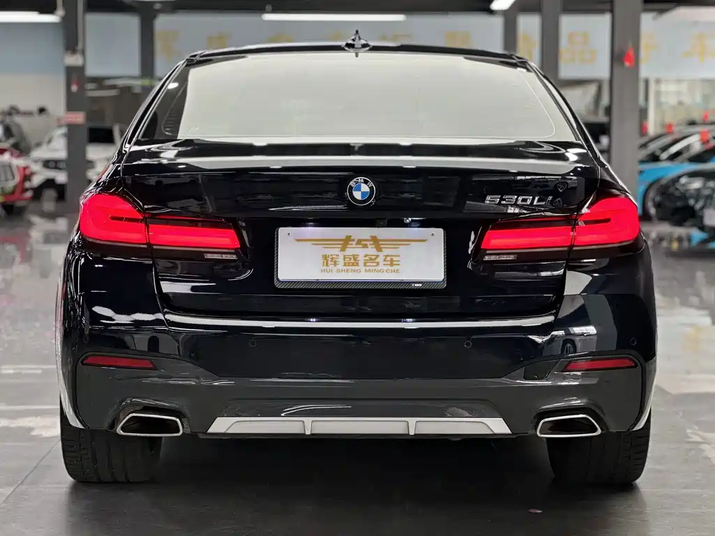 BMW 5 Series — миниатюра 4