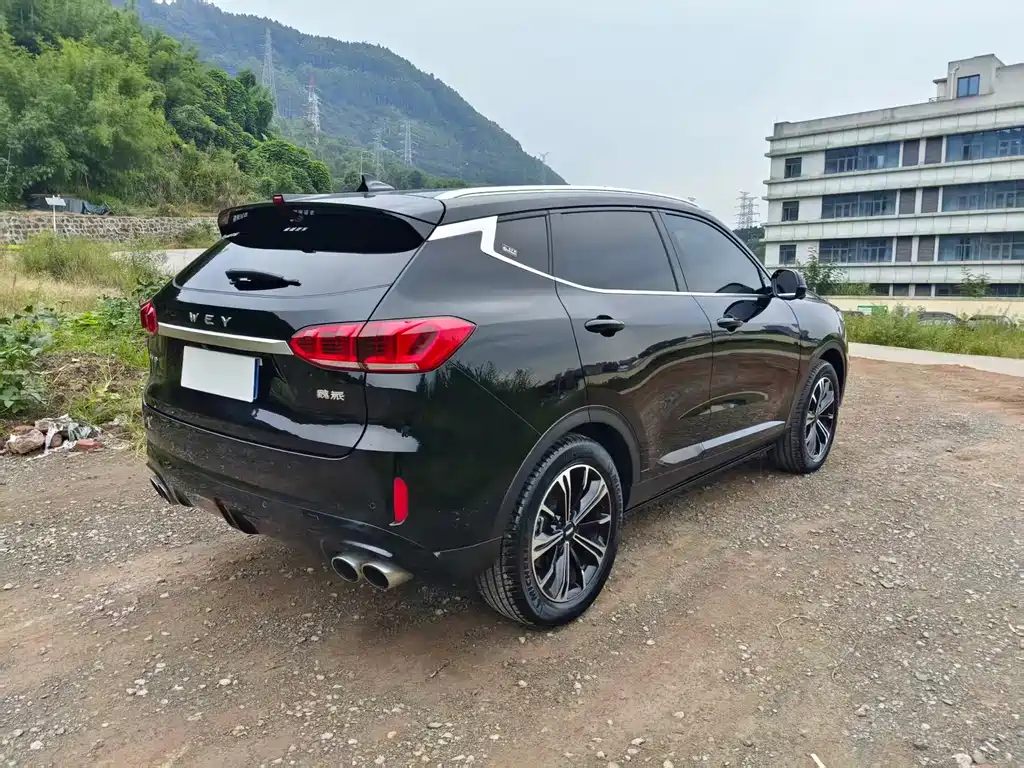 Wey Wey VV6 — миниатюра 10