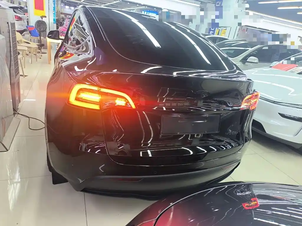 Tesla Model Y — миниатюра 6