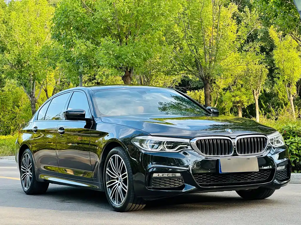 BMW 5 Series — миниатюра 3