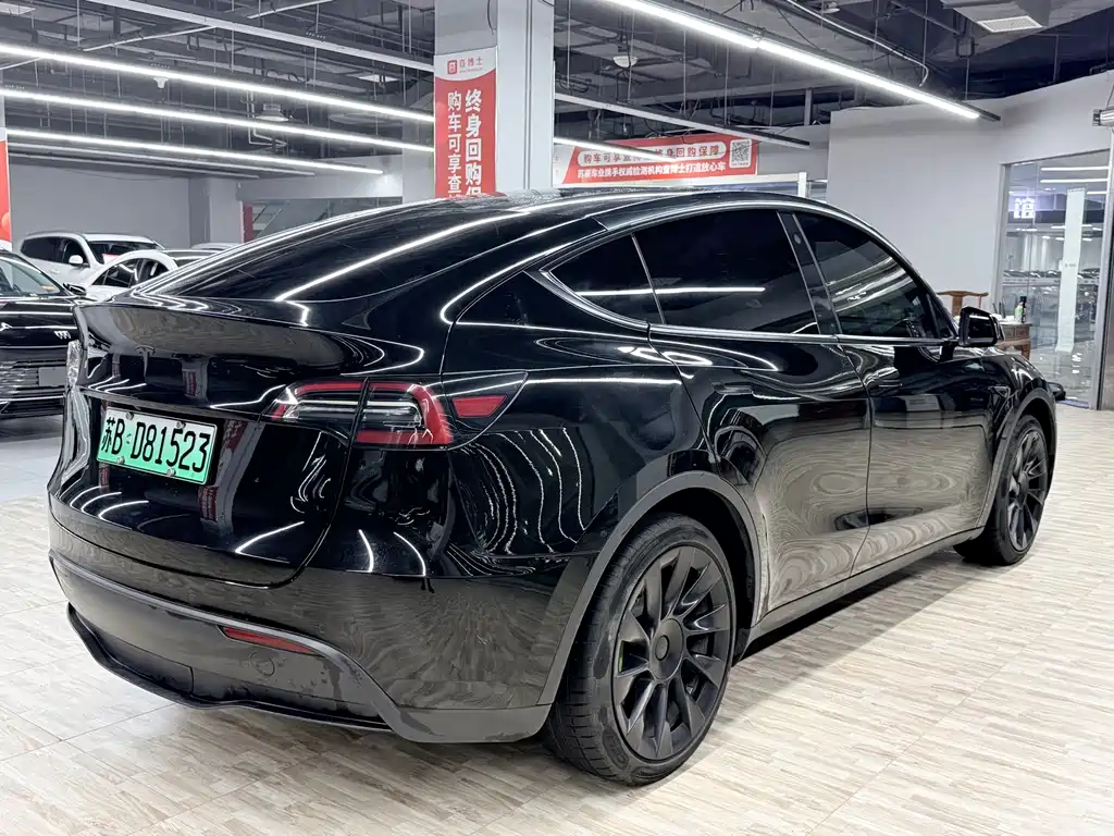 Tesla Model Y — миниатюра 4