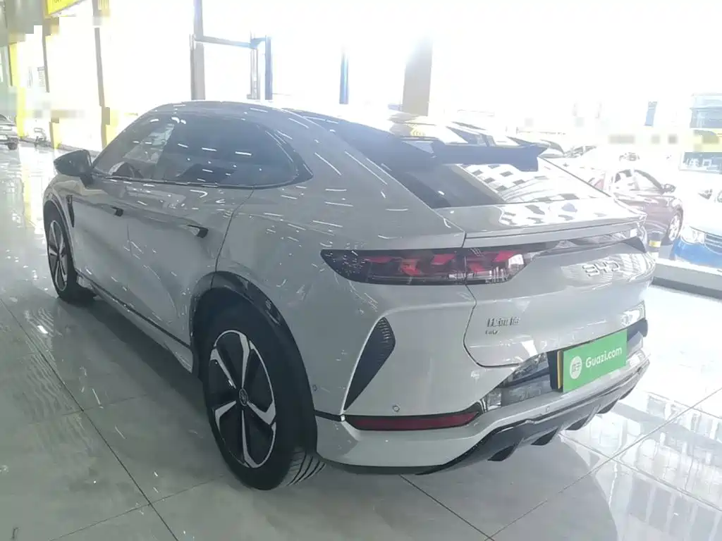 BYD L EV — миниатюра 5