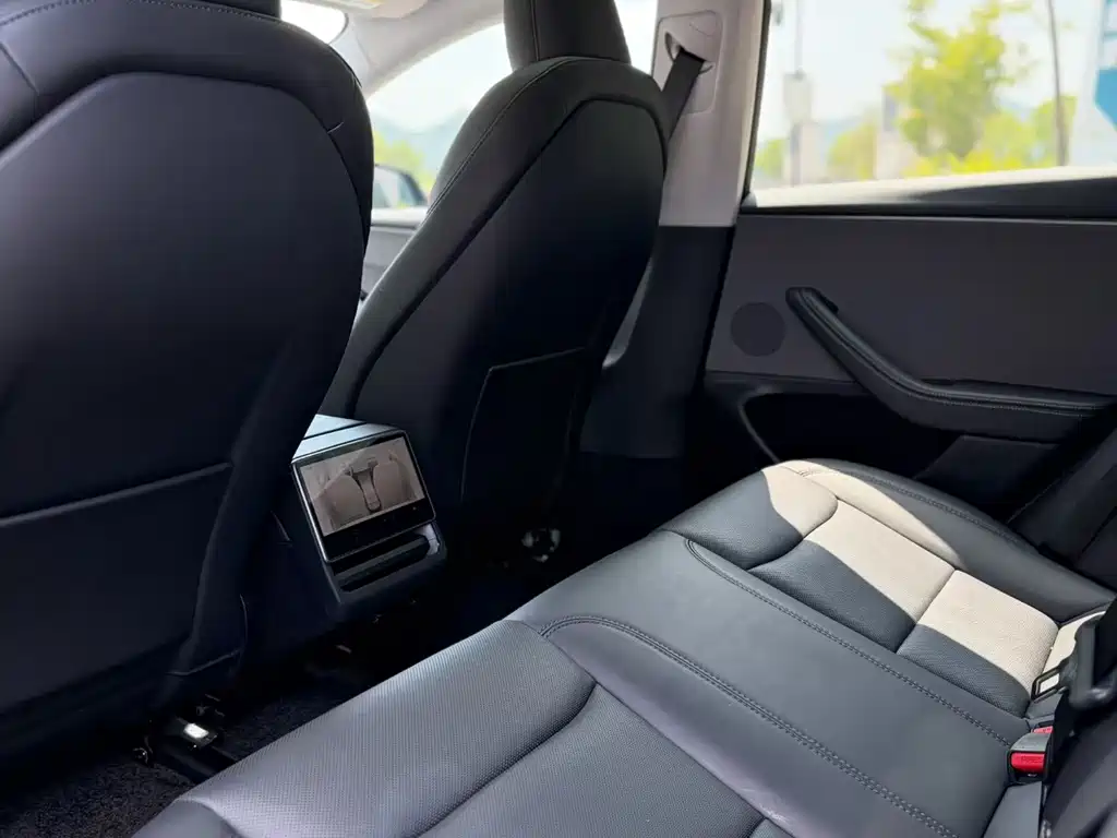 Tesla Model 3 — миниатюра 5