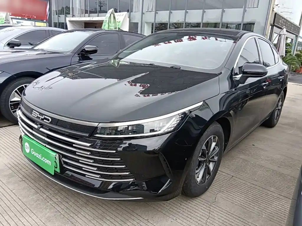 BYD Destroyer 05 — миниатюра 2