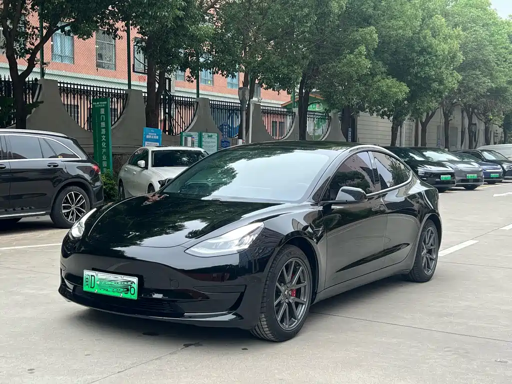 Tesla Model 3 2019
