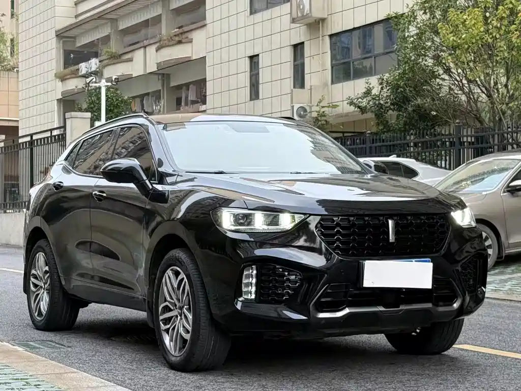 Wey Wey VV5 — миниатюра 3