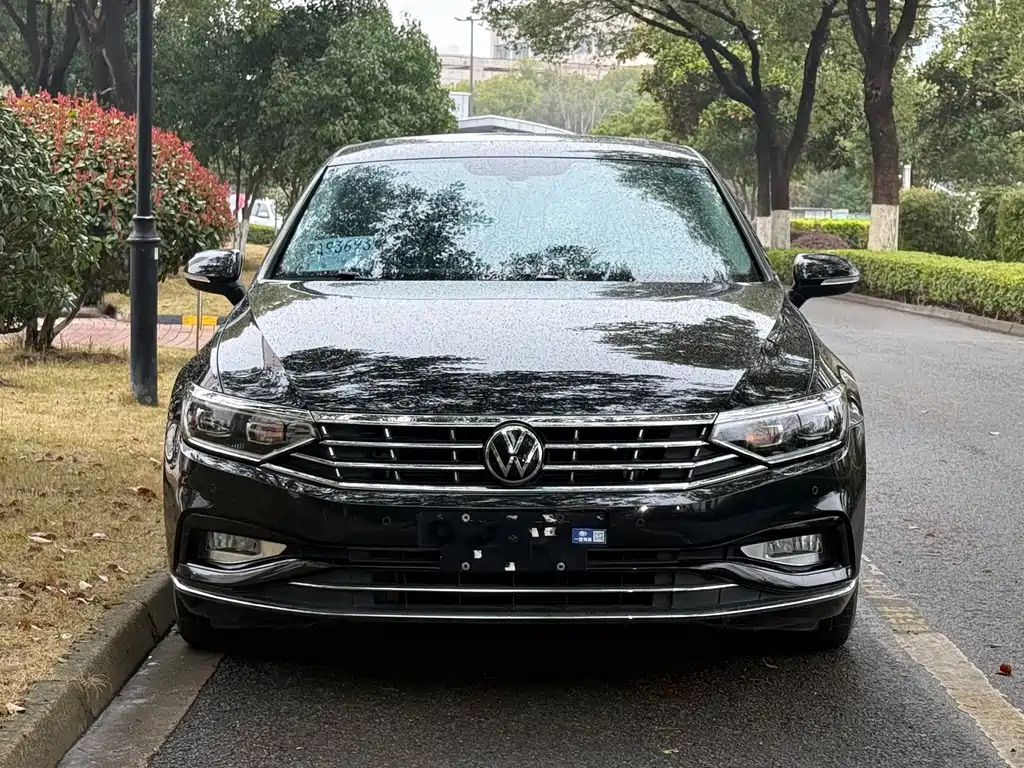 Volkswagen Magotan 2020 330TSI DSG Luxury
