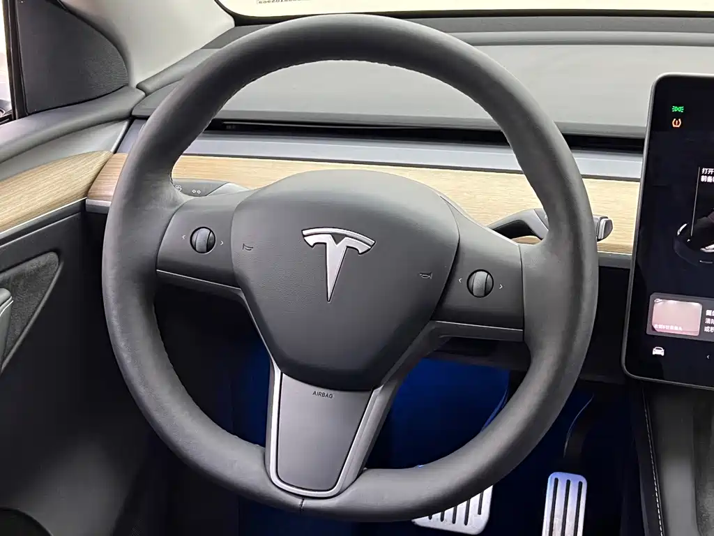 Tesla Model Y — миниатюра 23