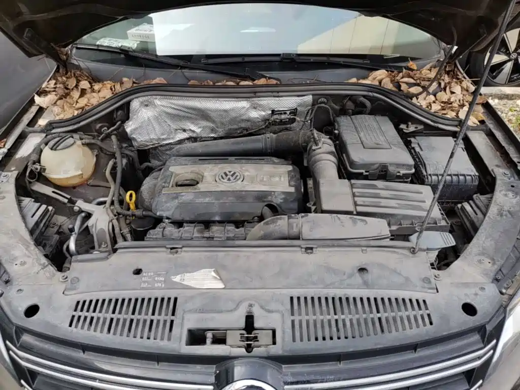 Volkswagen Tiguan — миниатюра 11