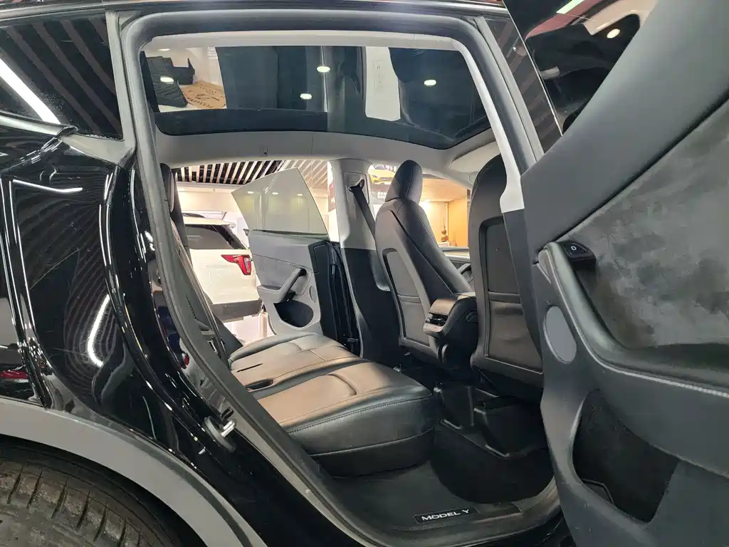 Tesla Model Y — миниатюра 14