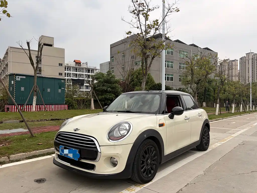 Mini Mini 2016