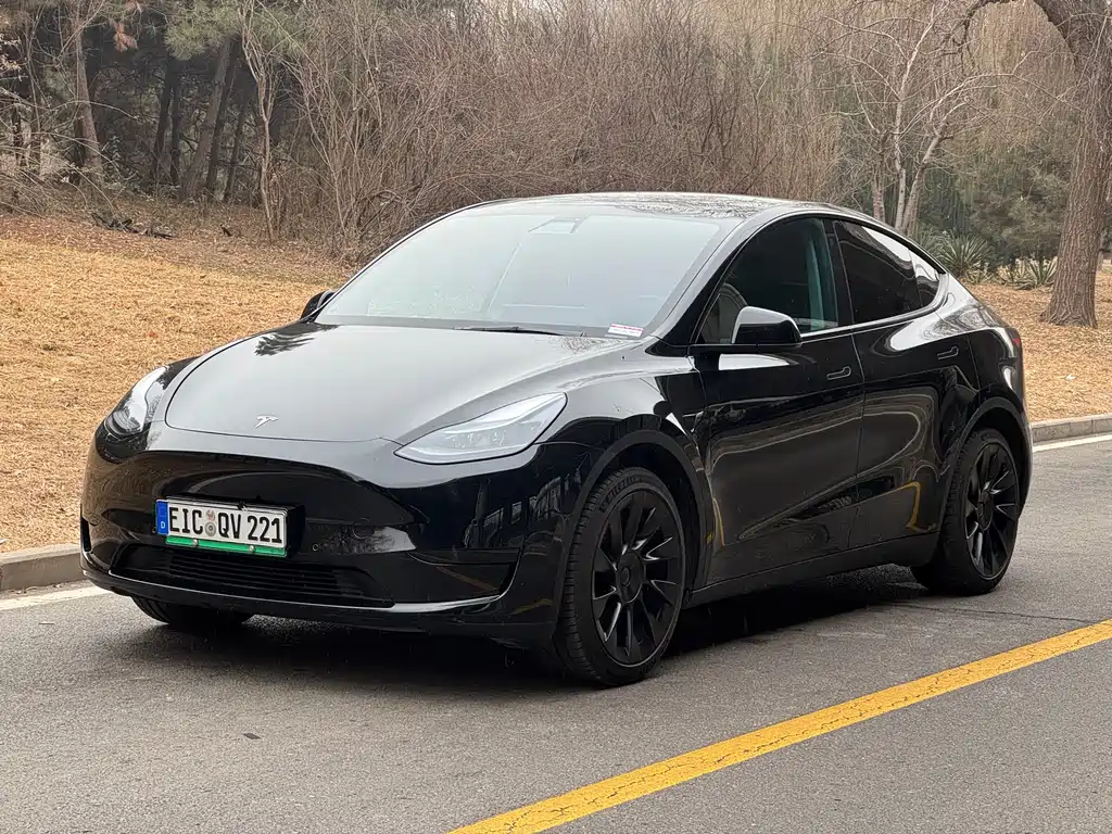 TESLA MODEL Y