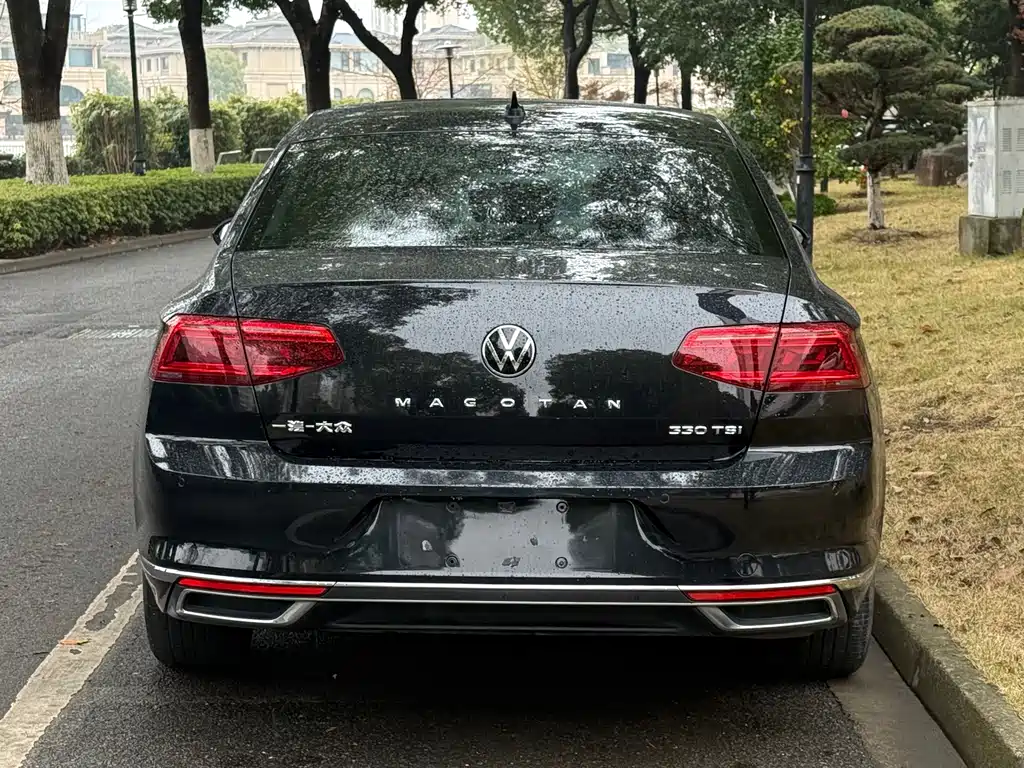 Volkswagen Magotan 2020 330TSI DSG Luxury