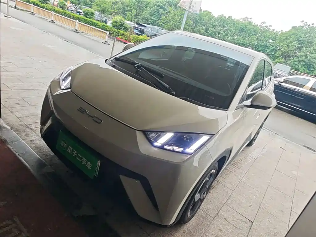 Byd Seagull 2023