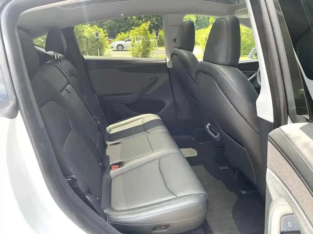 Tesla Model Y — миниатюра 6