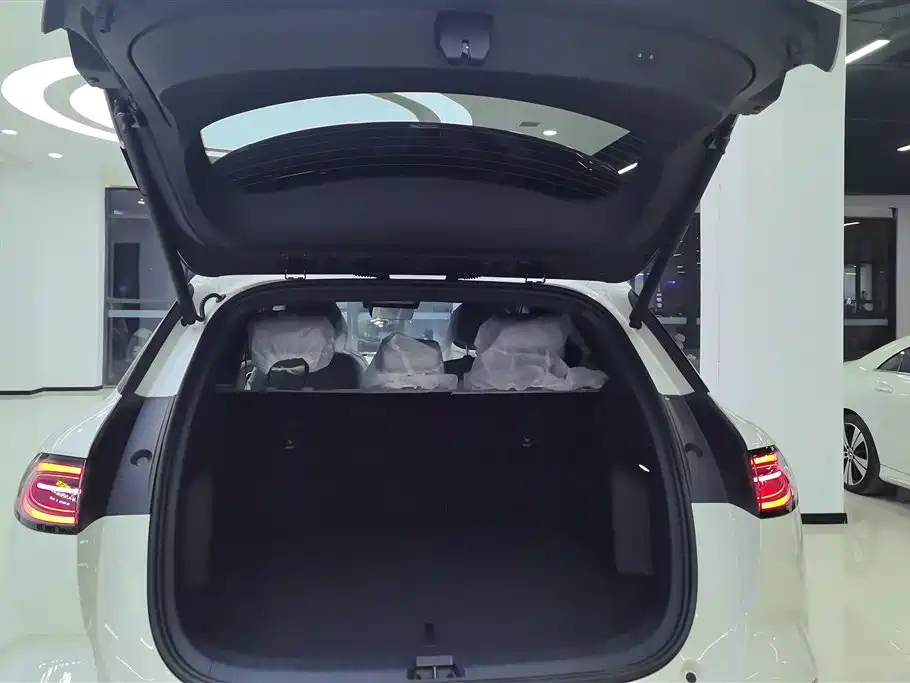 BYD SEA LION 06 NEW ENERGY