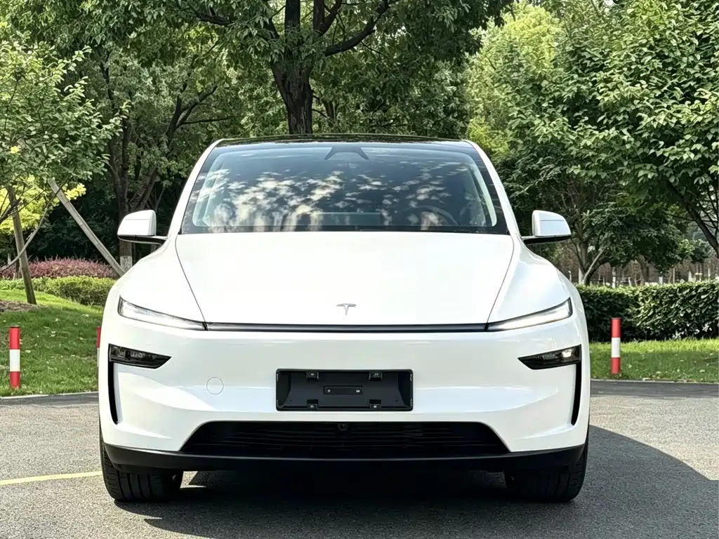 Tesla Model Y — миниатюра 2