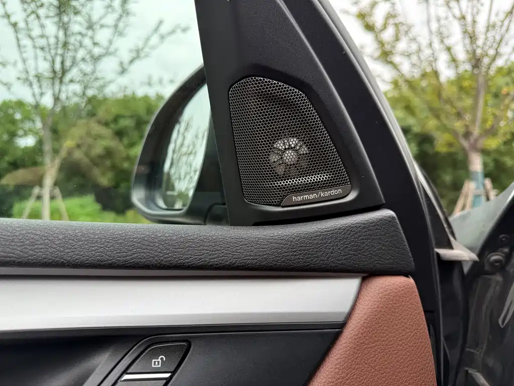 BMW X5 (Import) — миниатюра 9