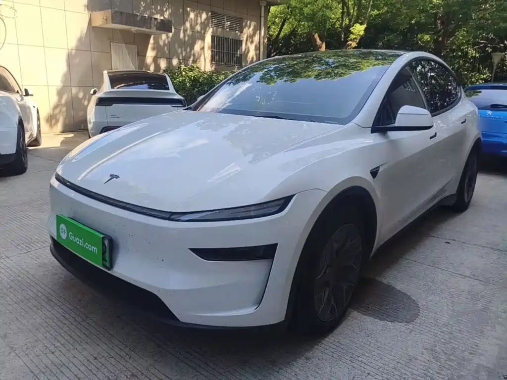 Tesla Model Y L — миниатюра 2