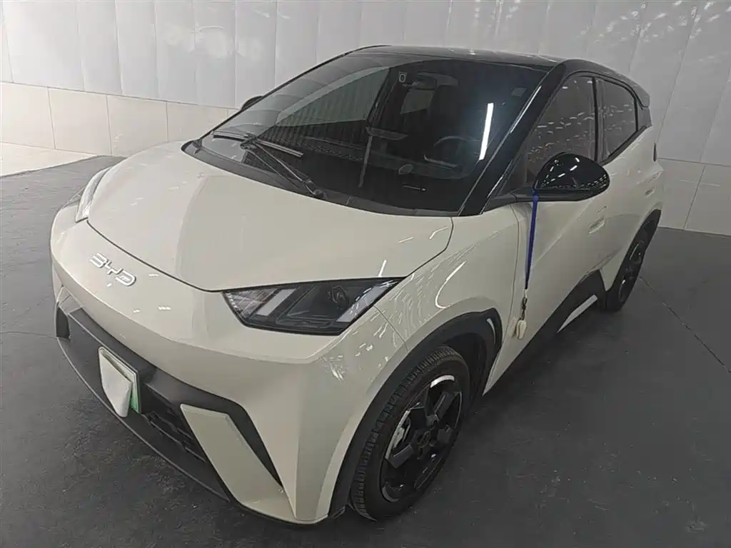 Byd Seagull 2024