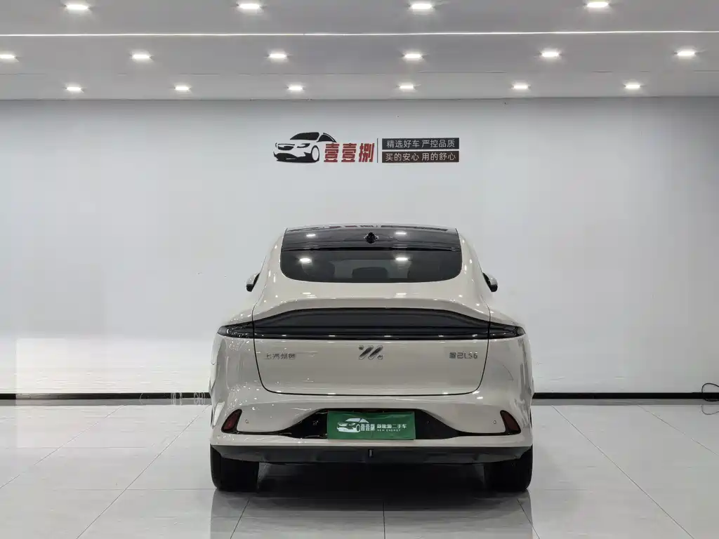 ZHIJI AUTOMOBILE ZHIJI LS6