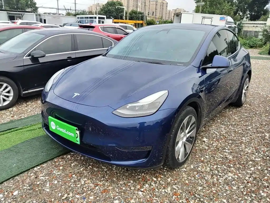 Tesla Model Y — миниатюра 2