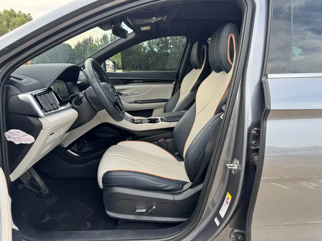 BYD PLUS New Energy — миниатюра 20