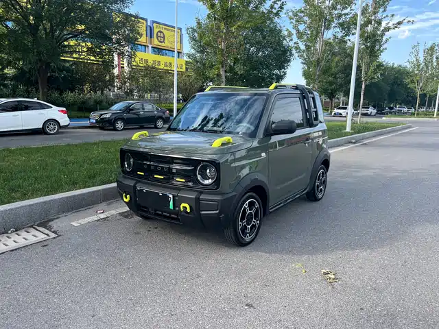 2025 Geely LC (Panda)