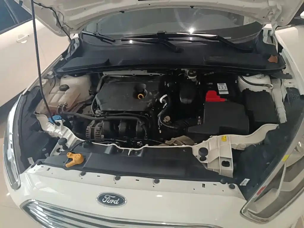 Ford Escort — миниатюра 20
