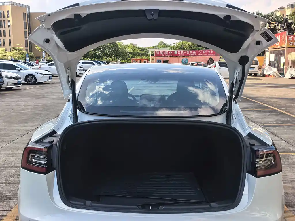 Tesla Model 3 — миниатюра 15