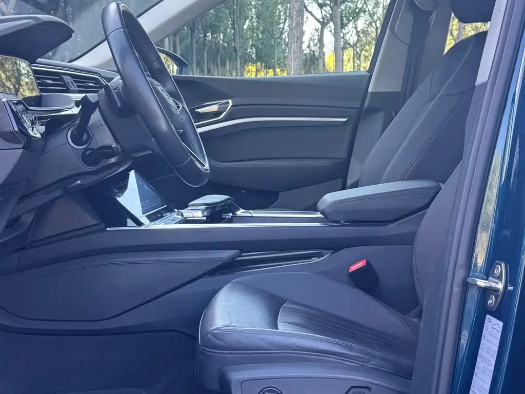 Audi e-tron (Import) — миниатюра 13