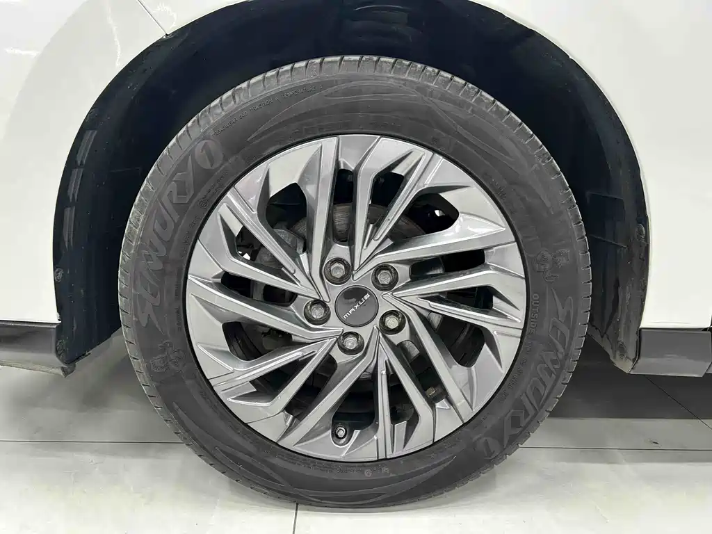 SAIC MAXUS CHASE G50