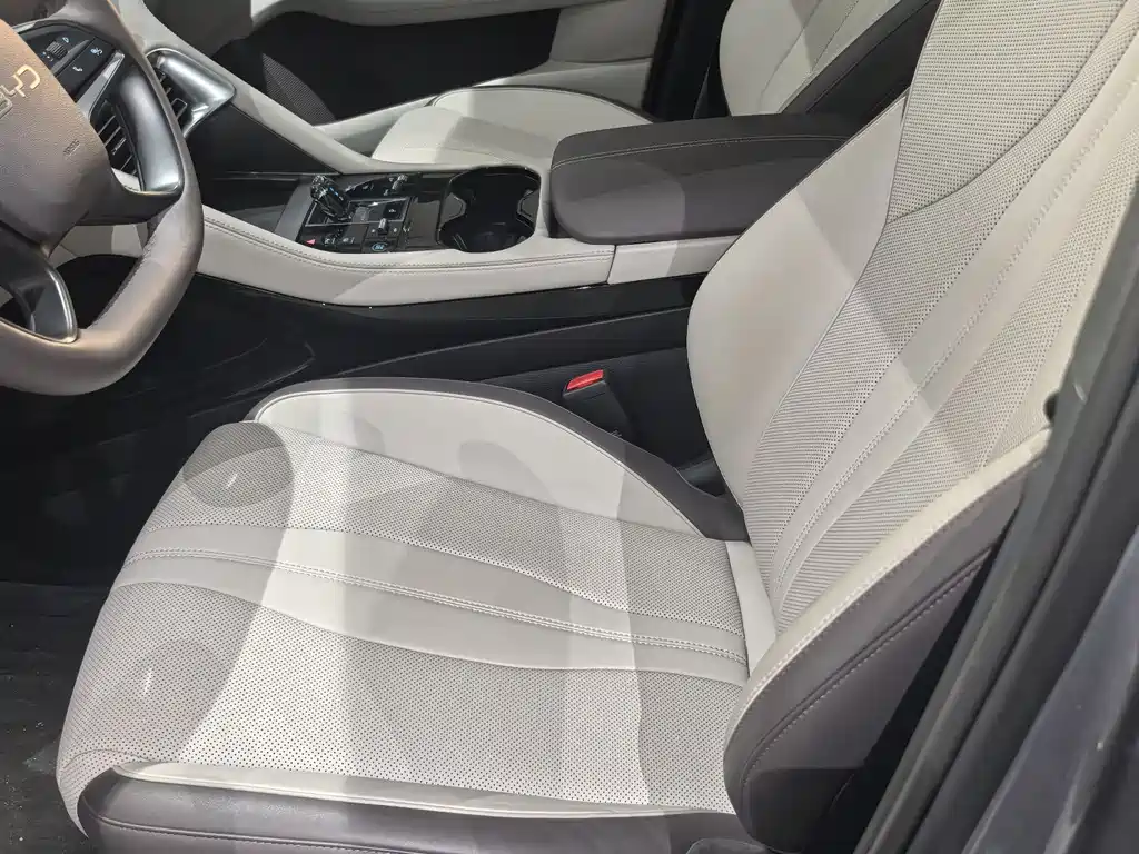 BYD SONGJIANG NEW ENERGY