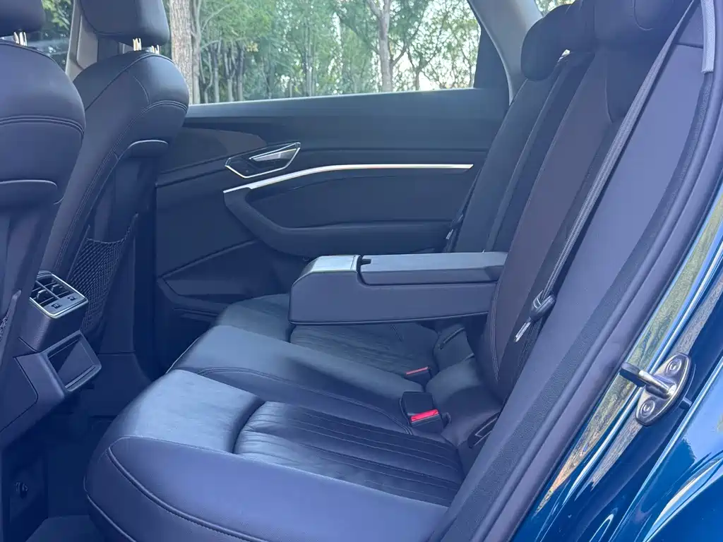 Audi e-tron (Import) — миниатюра 22