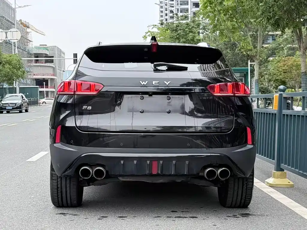 Wey Wey P8 — миниатюра 5