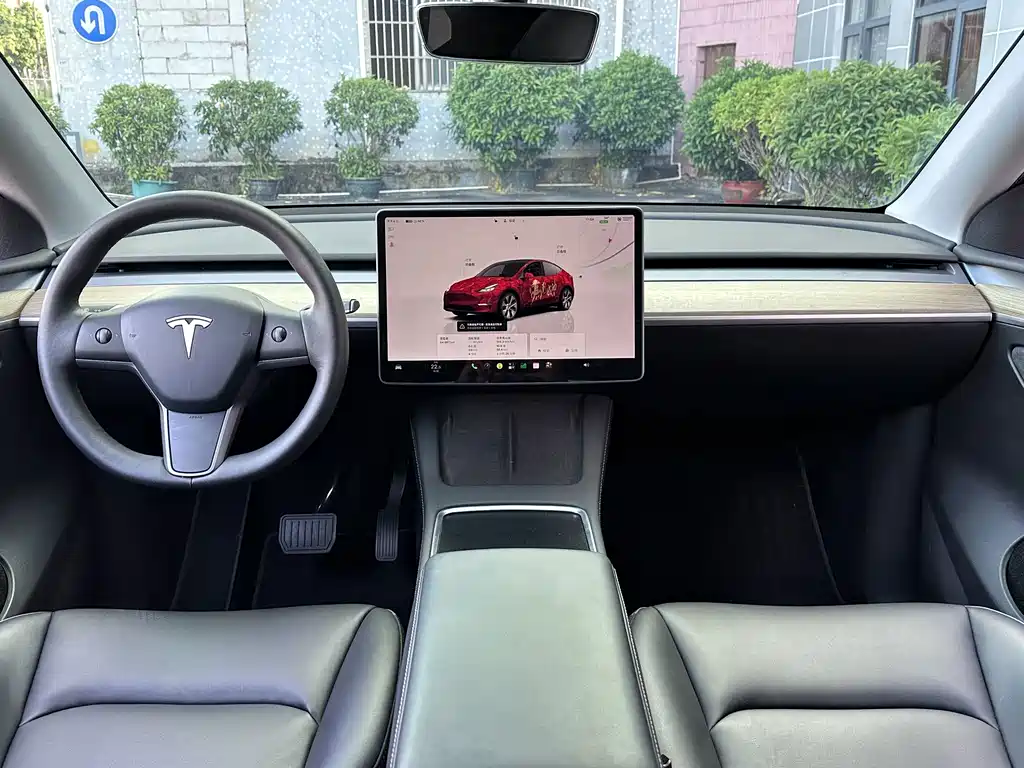 Tesla Model Y — миниатюра 4