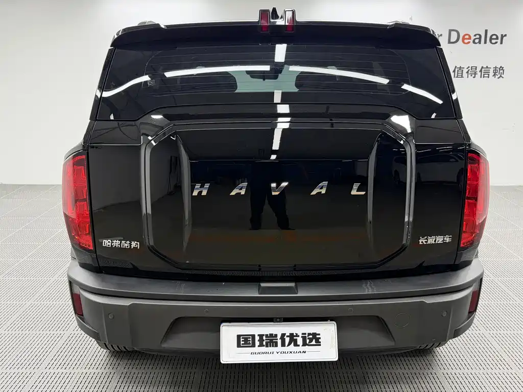 Haval Cool Dog — миниатюра 4