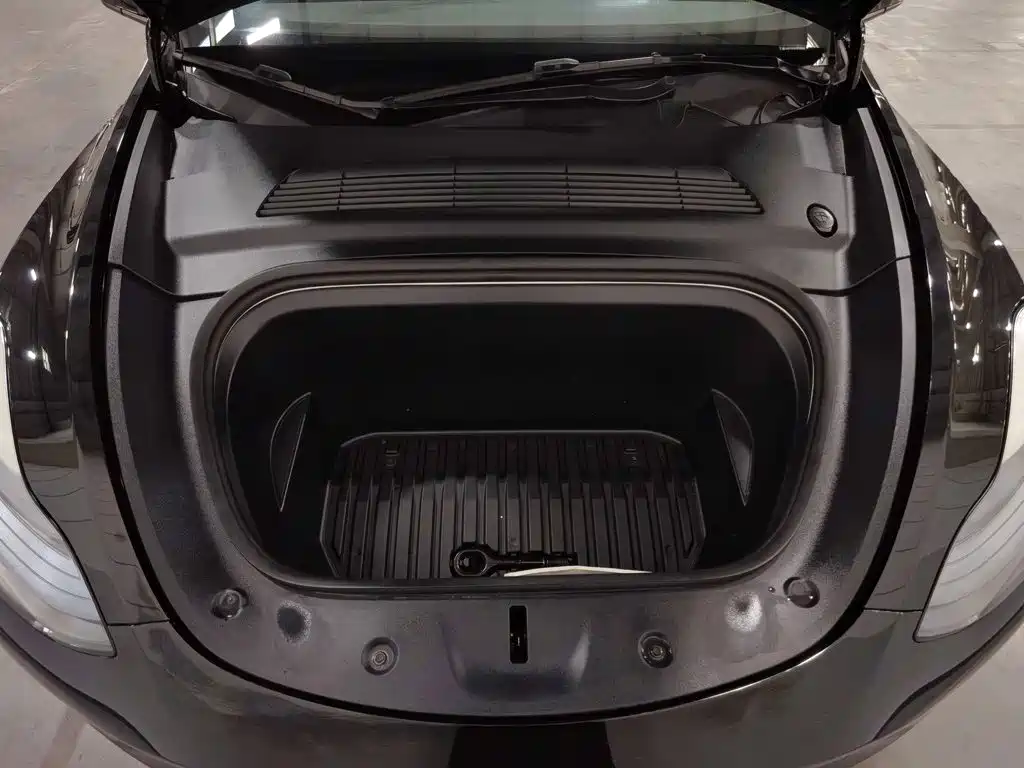 Tesla Model Y — миниатюра 6
