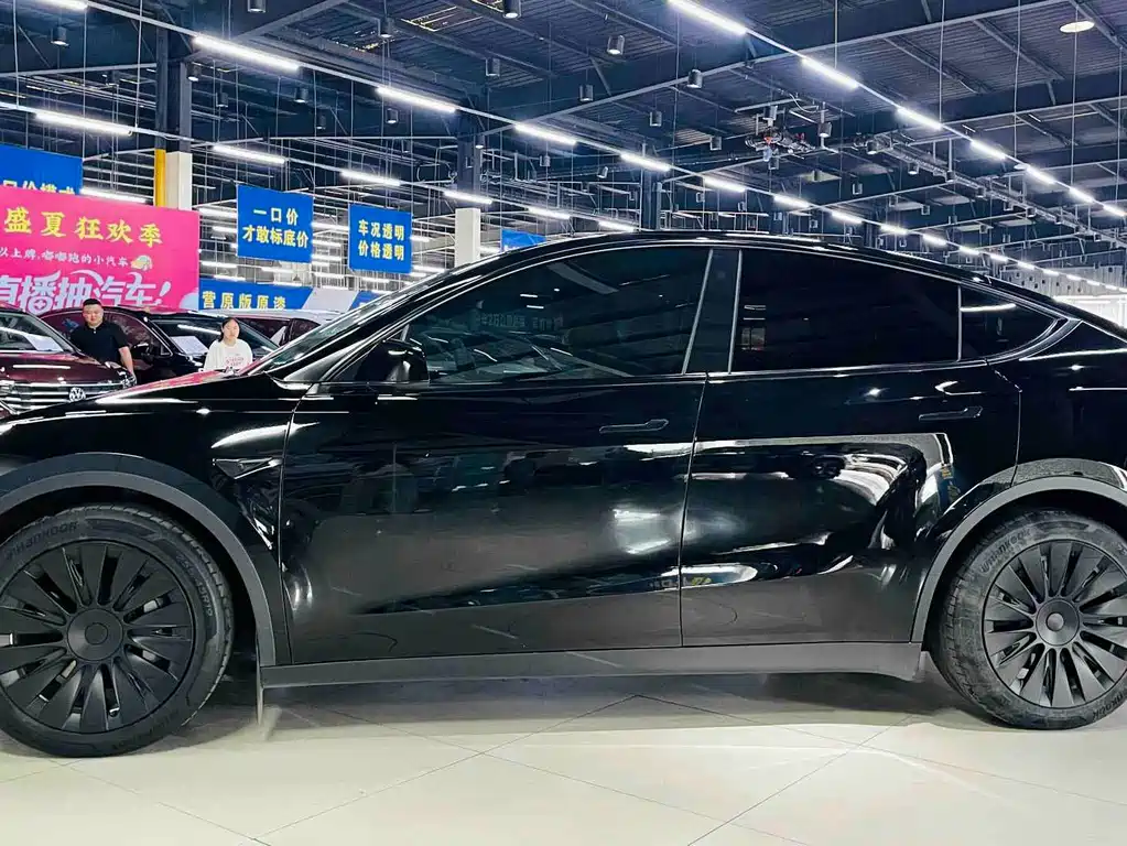 Tesla Model Y — миниатюра 5