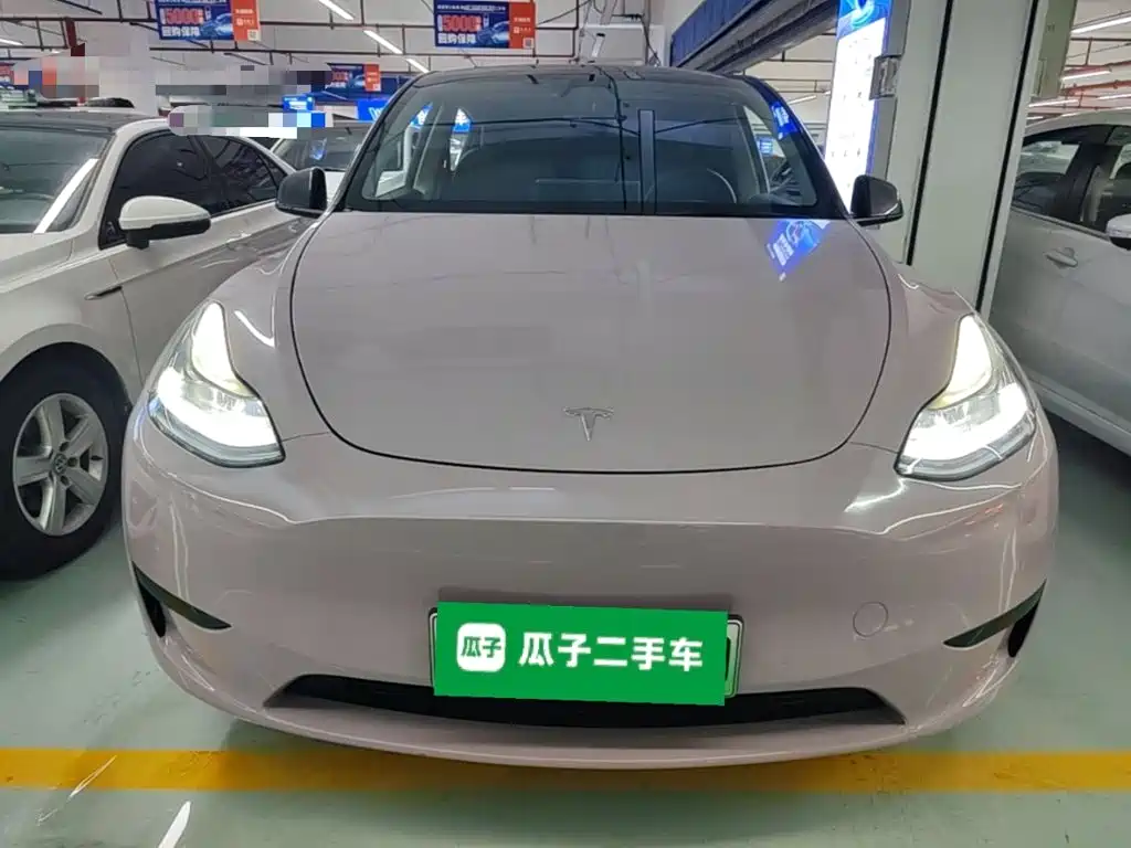 Tesla Model Y — миниатюра 3
