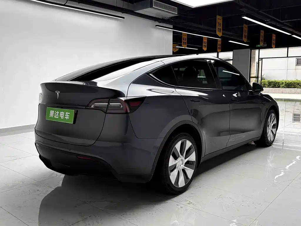 Tesla Model Y — миниатюра 6