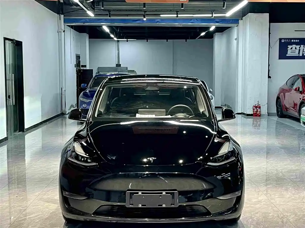 Tesla Model Y — миниатюра 2