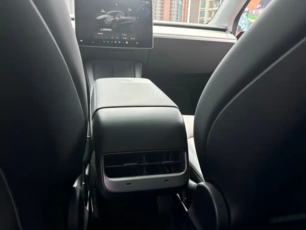 Tesla Model Y — миниатюра 13