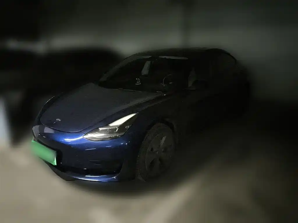Tesla Model 3 2021