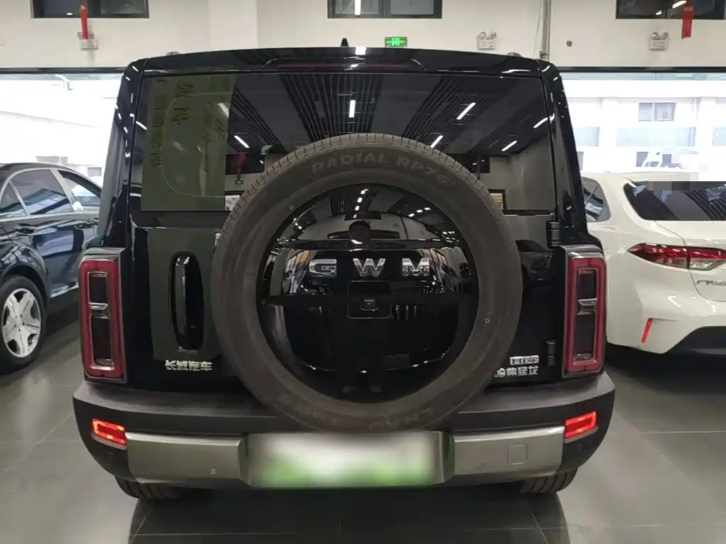 Haval Menglong New Energy — миниатюра 6
