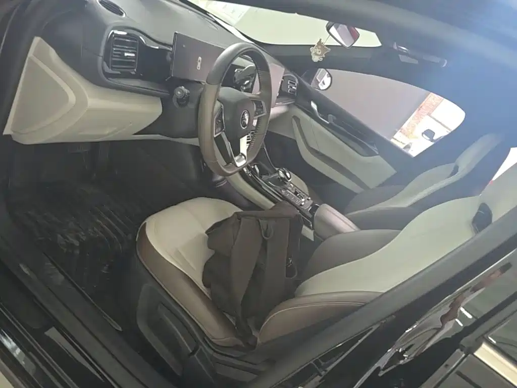 BYD Qin PLUS — миниатюра 15