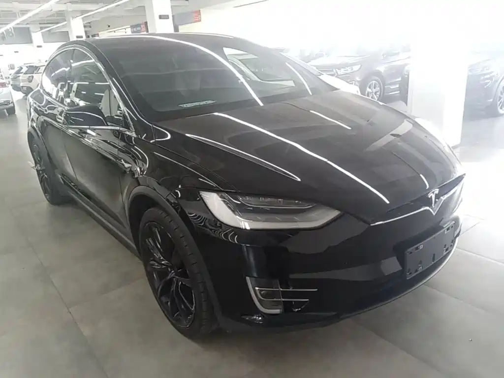 Tesla Model X — миниатюра 22
