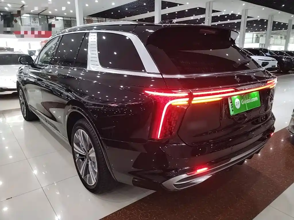 Hongqi Hongqi E-HS9 — миниатюра 5