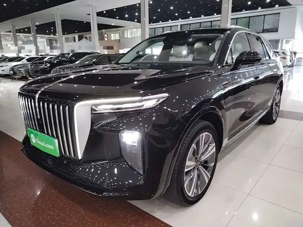 Hongqi Hongqi E-HS9